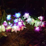 Solarbetriebene LED-Blume, Solar Garten Stake Lichter