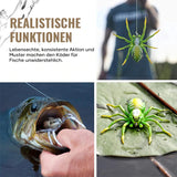 Schwimmende Spinnenköder