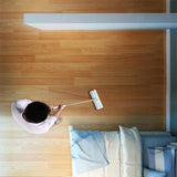 Reiniger Scheiben Für Boden